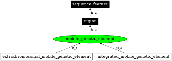 Graph image for SO:0001037