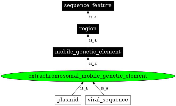 Graph image for SO:0001038