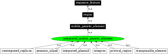 Graph image for SO:0001039