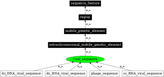 Graph image for SO:0001041