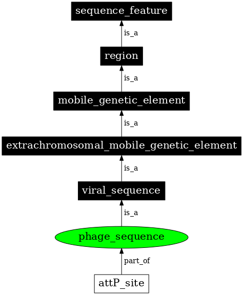 Graph image for SO:0001042