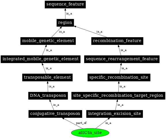 Graph image for SO:0001043