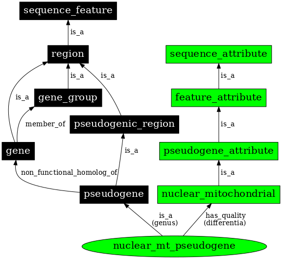 Graph image for SO:0001044