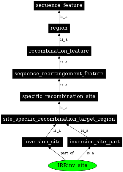 Graph image for SO:0001047