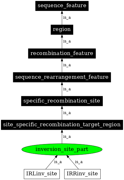 Graph image for SO:0001048