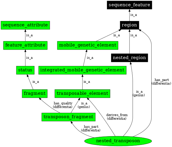 Graph image for SO:0001053