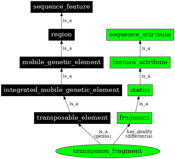 Graph image for SO:0001054
