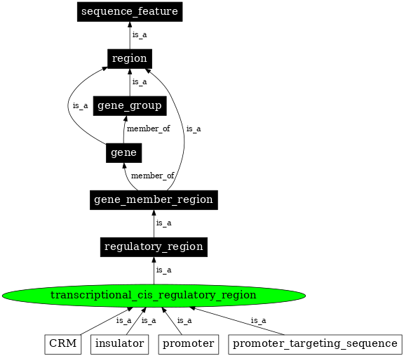 Graph image for SO:0001055