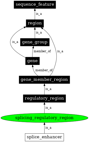 Graph image for SO:0001056