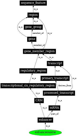 Graph image for SO:0001057