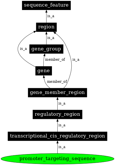 Graph image for SO:0001058