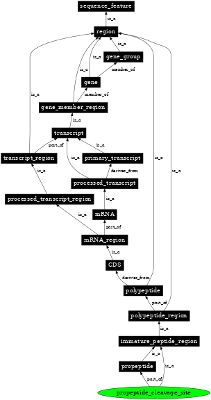 Graph image for SO:0001061