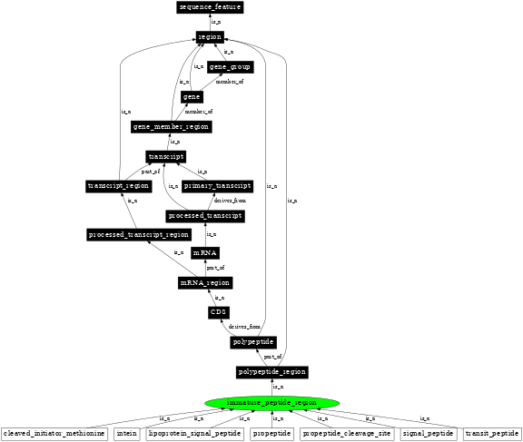 Graph image for SO:0001063