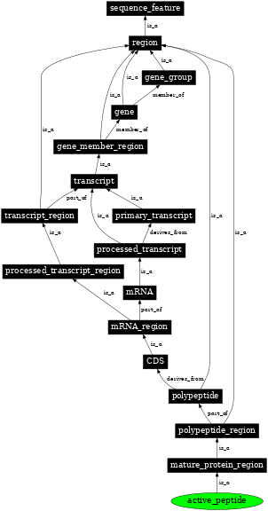 Graph image for SO:0001064