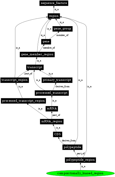 Graph image for SO:0001066