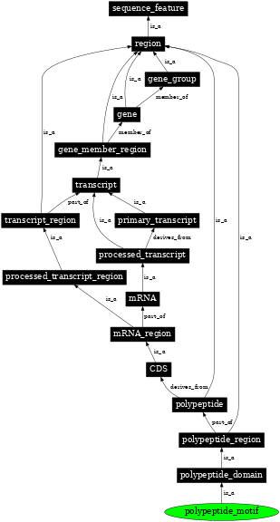 Graph image for SO:0001067