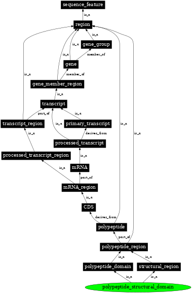 Graph image for SO:0001069