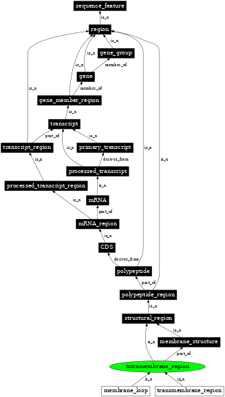 Graph image for SO:0001075