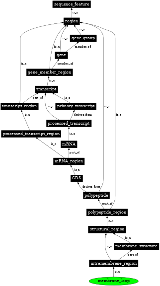 Graph image for SO:0001076
