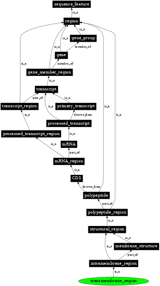 Graph image for SO:0001077