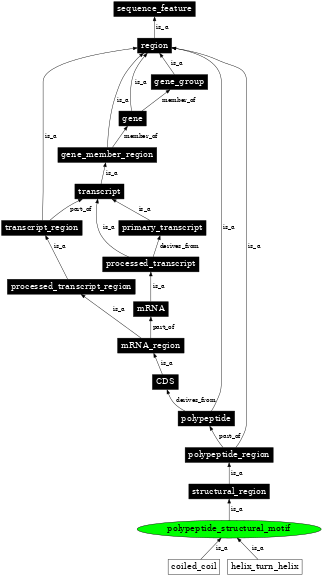Graph image for SO:0001079
