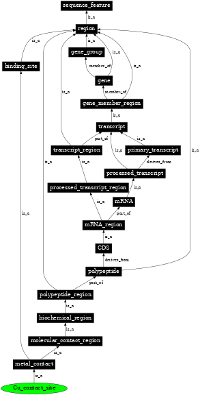 Graph image for SO:0001096