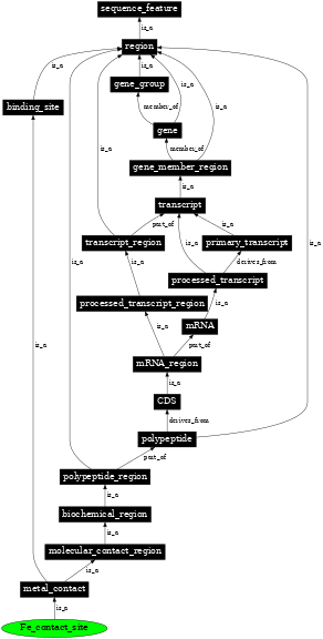 Graph image for SO:0001097