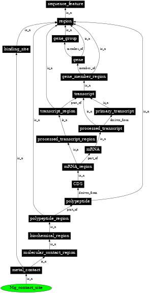 Graph image for SO:0001098