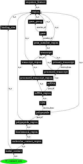 Graph image for SO:0001102