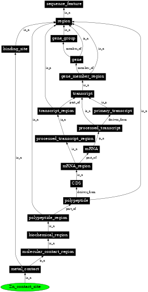 Graph image for SO:0001103