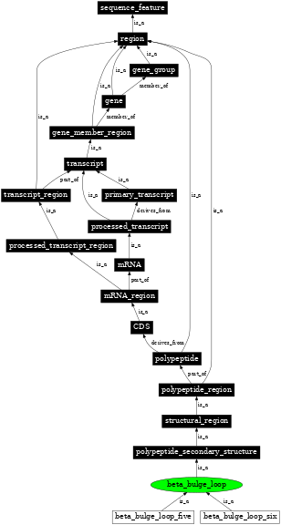 Graph image for SO:0001108