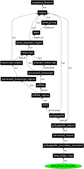 Graph image for SO:0001109
