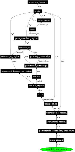Graph image for SO:0001113