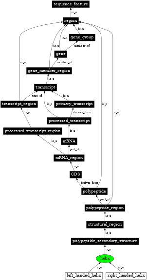 Graph image for SO:0001114