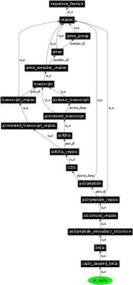 Graph image for SO:0001118