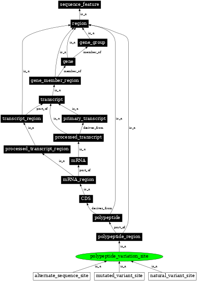 Graph image for SO:0001146