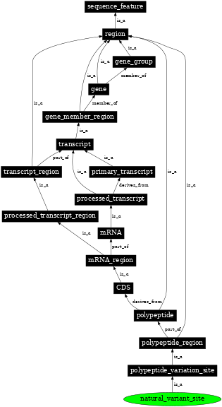 Graph image for SO:0001147