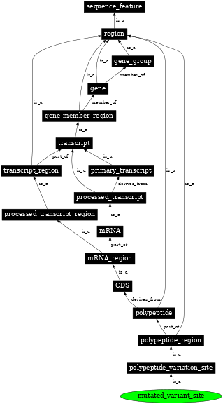 Graph image for SO:0001148
