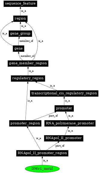 Graph image for SO:0001165