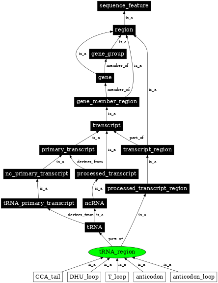 Graph image for SO:0001172