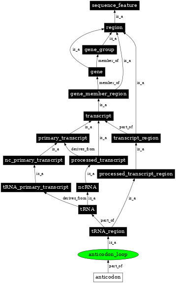 Graph image for SO:0001173