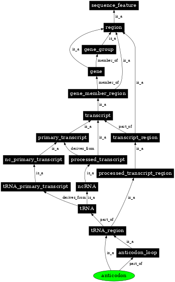 Graph image for SO:0001174