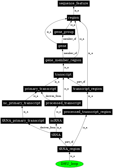 Graph image for SO:0001176