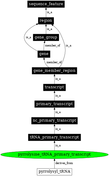Graph image for SO:0001178