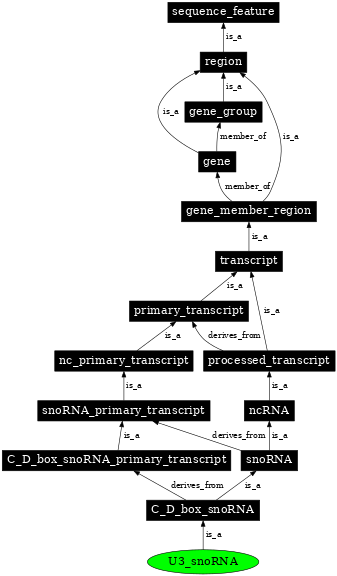Graph image for SO:0001179