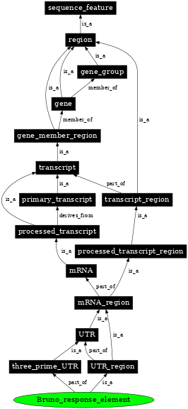 Graph image for SO:0001181