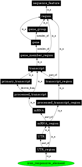 Graph image for SO:0001182