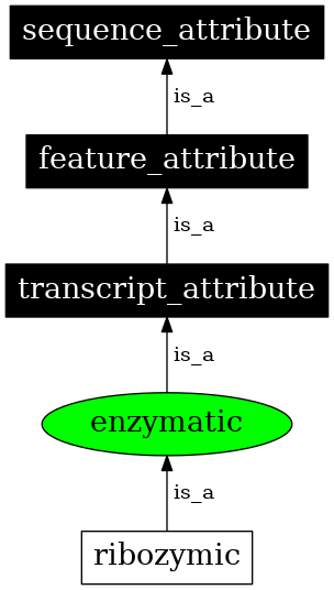 Graph image for SO:0001185