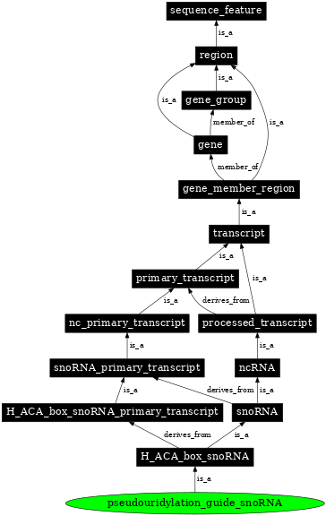 Graph image for SO:0001187