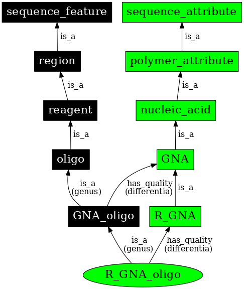 Graph image for SO:0001195